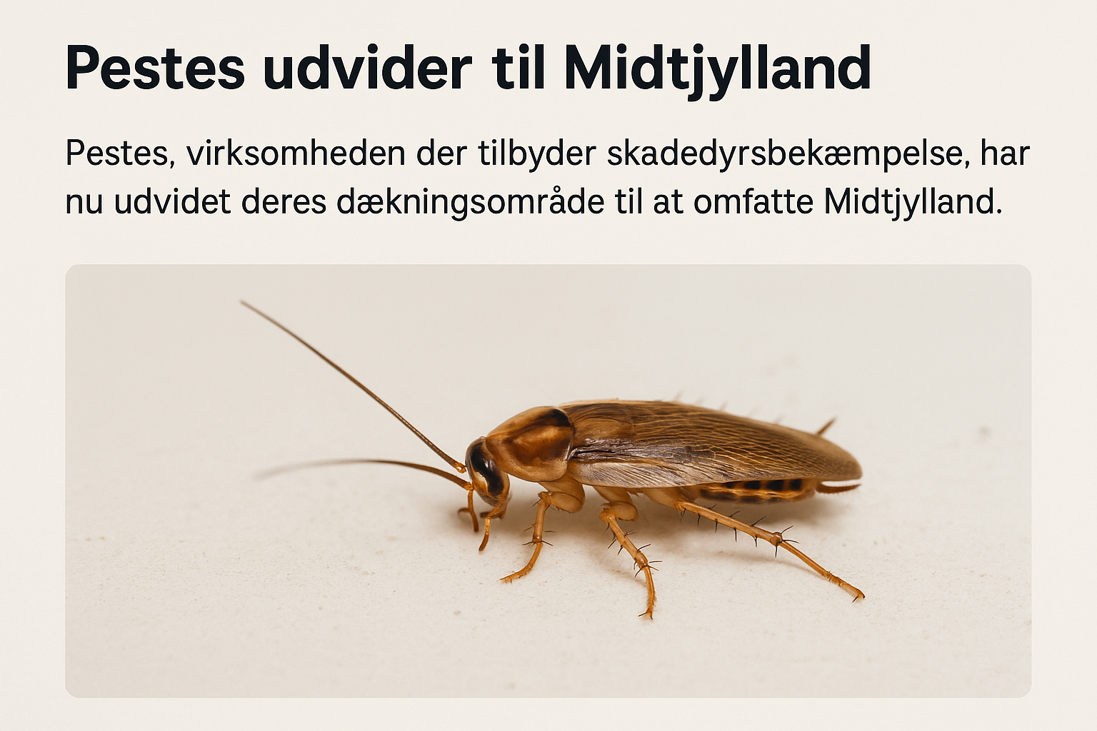 Skadedyrsbekæmper